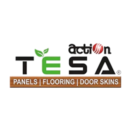 a logo of a action Tesa